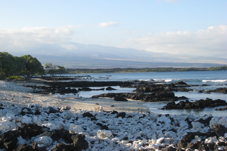 ../image/shoreline near hilton in waikoloa 4.jpg